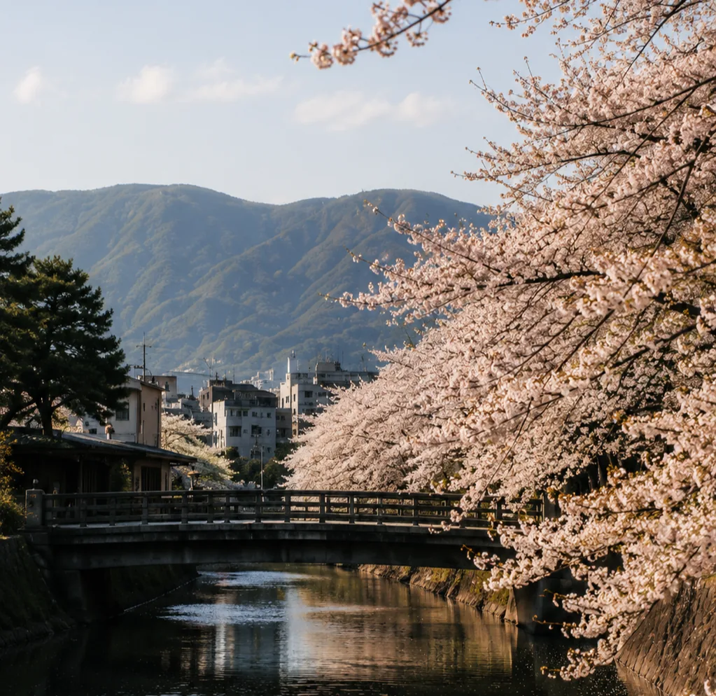 Ramo di ciliegio in fiore lungo un fiume, con le montagne sullo sfondo